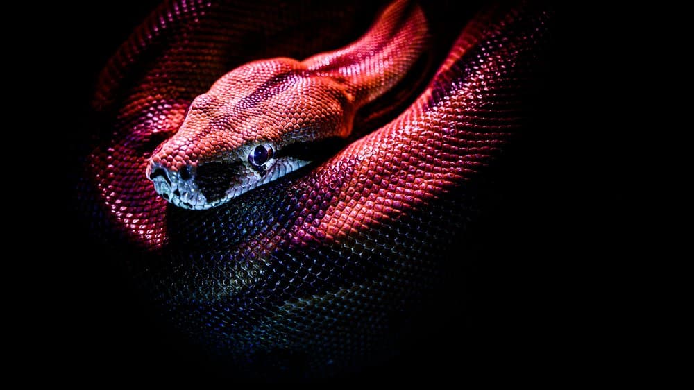 python taschenrechner