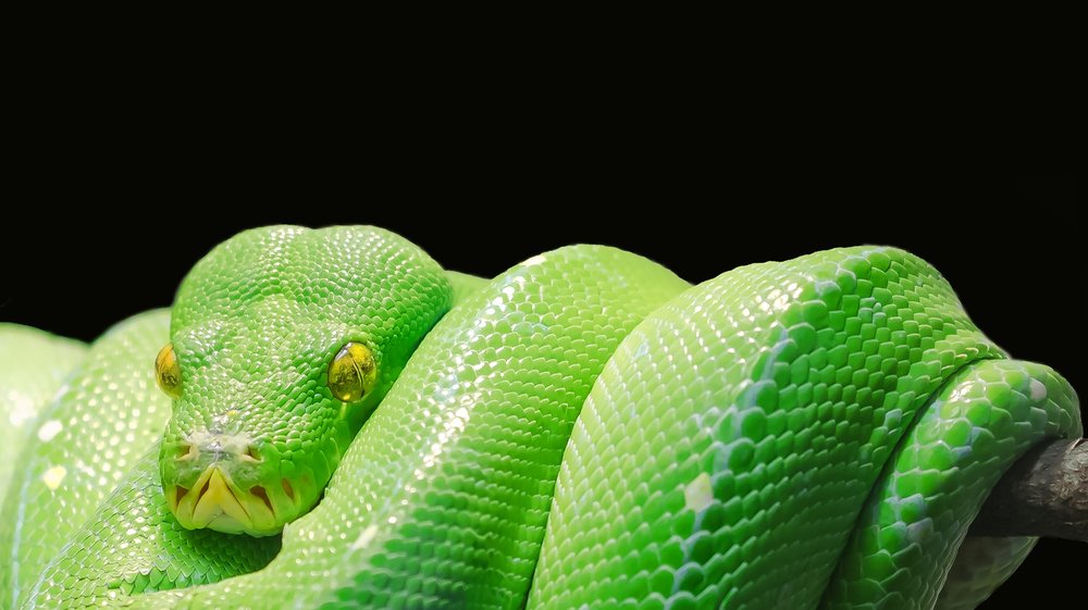 taschenrechner python